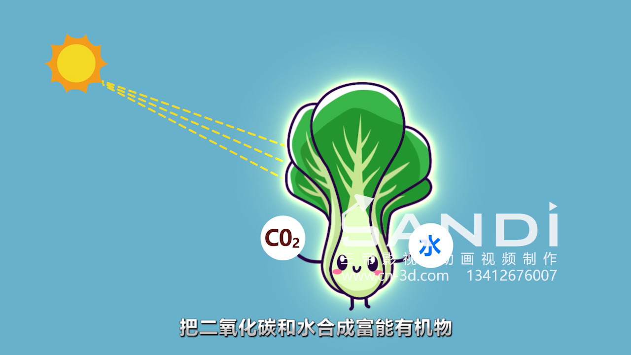 植物光环境调控动画